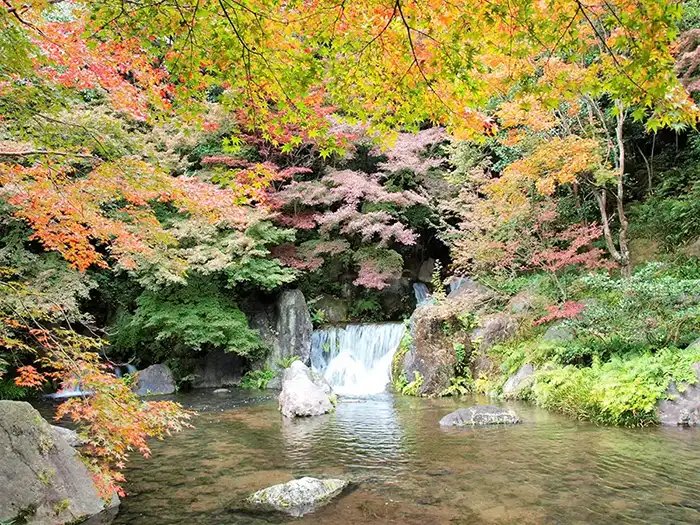 🏞️ 만박기념공원 일본 정원 (니혼테이엔) 이미지 15